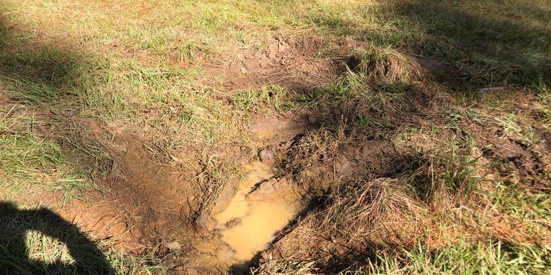 Camper submitted image from Valentine Lake Wild Azalea Trail