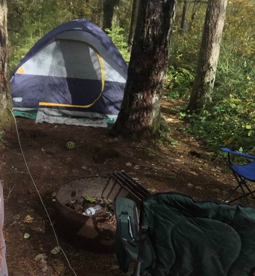 Kaydee's photo at Lower Falls Campground near Gifford Pinchot National Forest