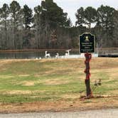 Review photo of Parkers Crossroads RV Park and Campground by N I., December 19, 2021