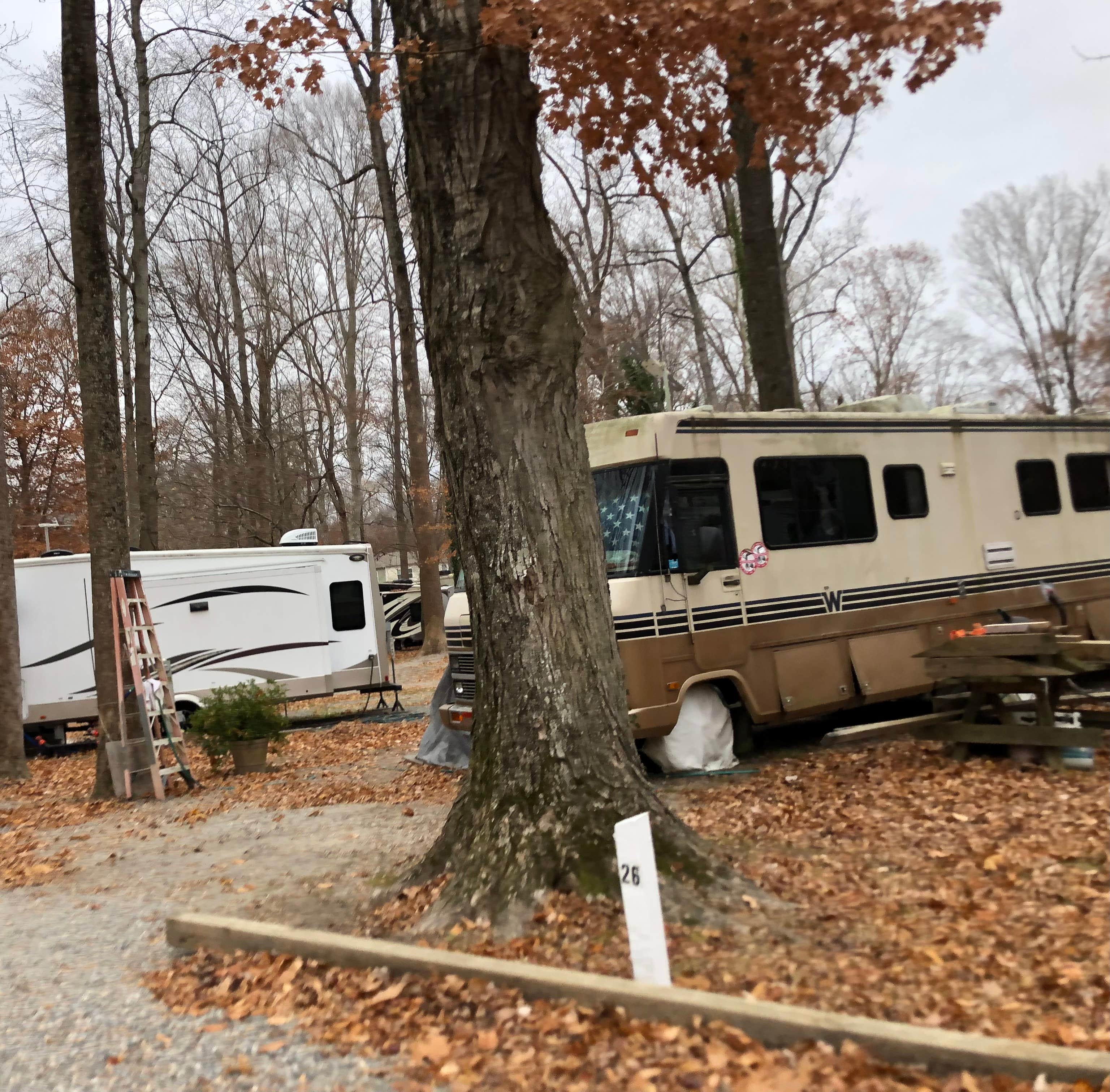 Camper-submitted photo at Carter's Cove Campground near Lanexa, VA