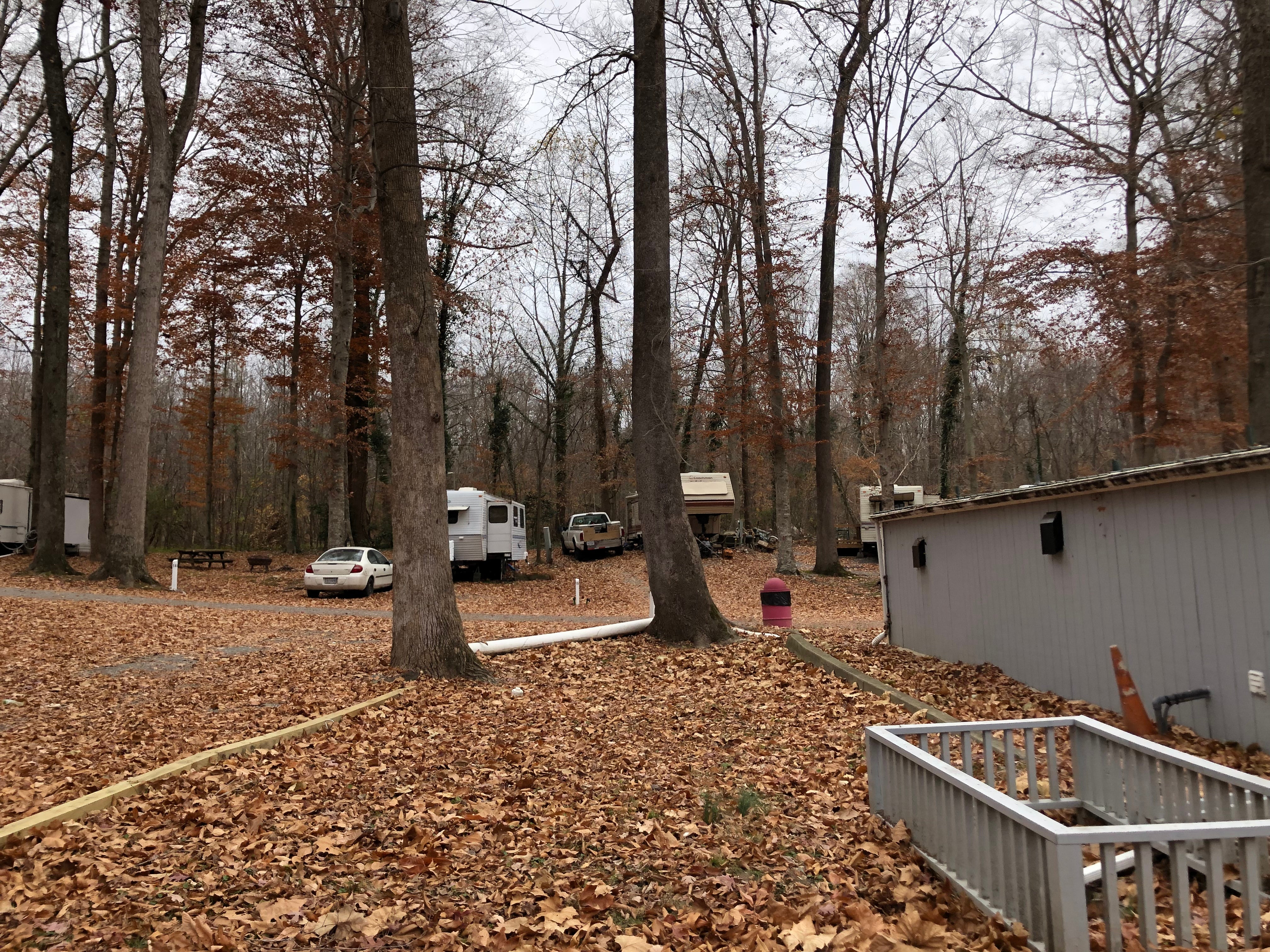 Camper submitted image from Carter's Cove Campground - 4