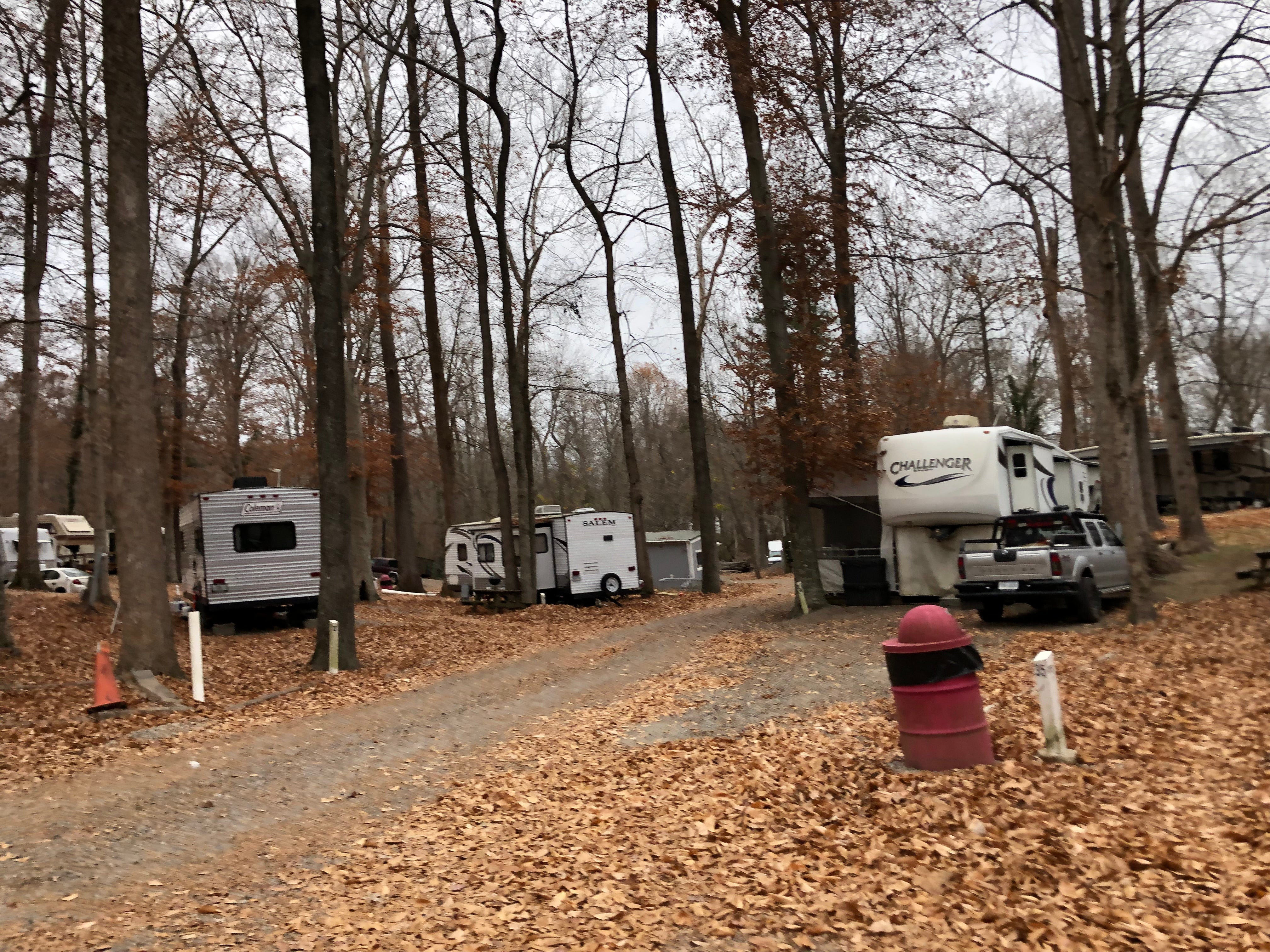 Camper submitted image from Carter's Cove Campground - 2