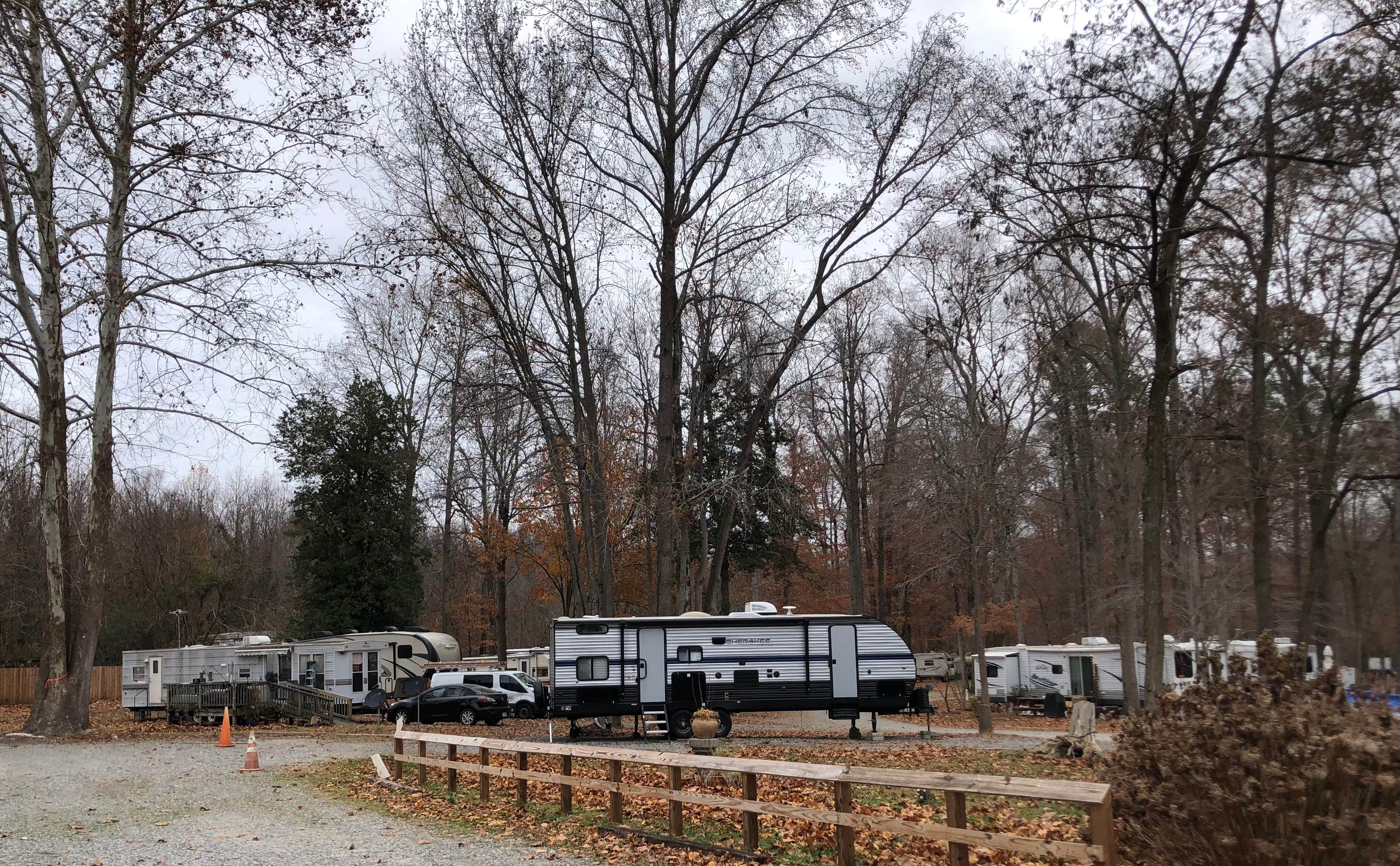 Camper-submitted photo at Carter's Cove Campground near Lanexa, VA