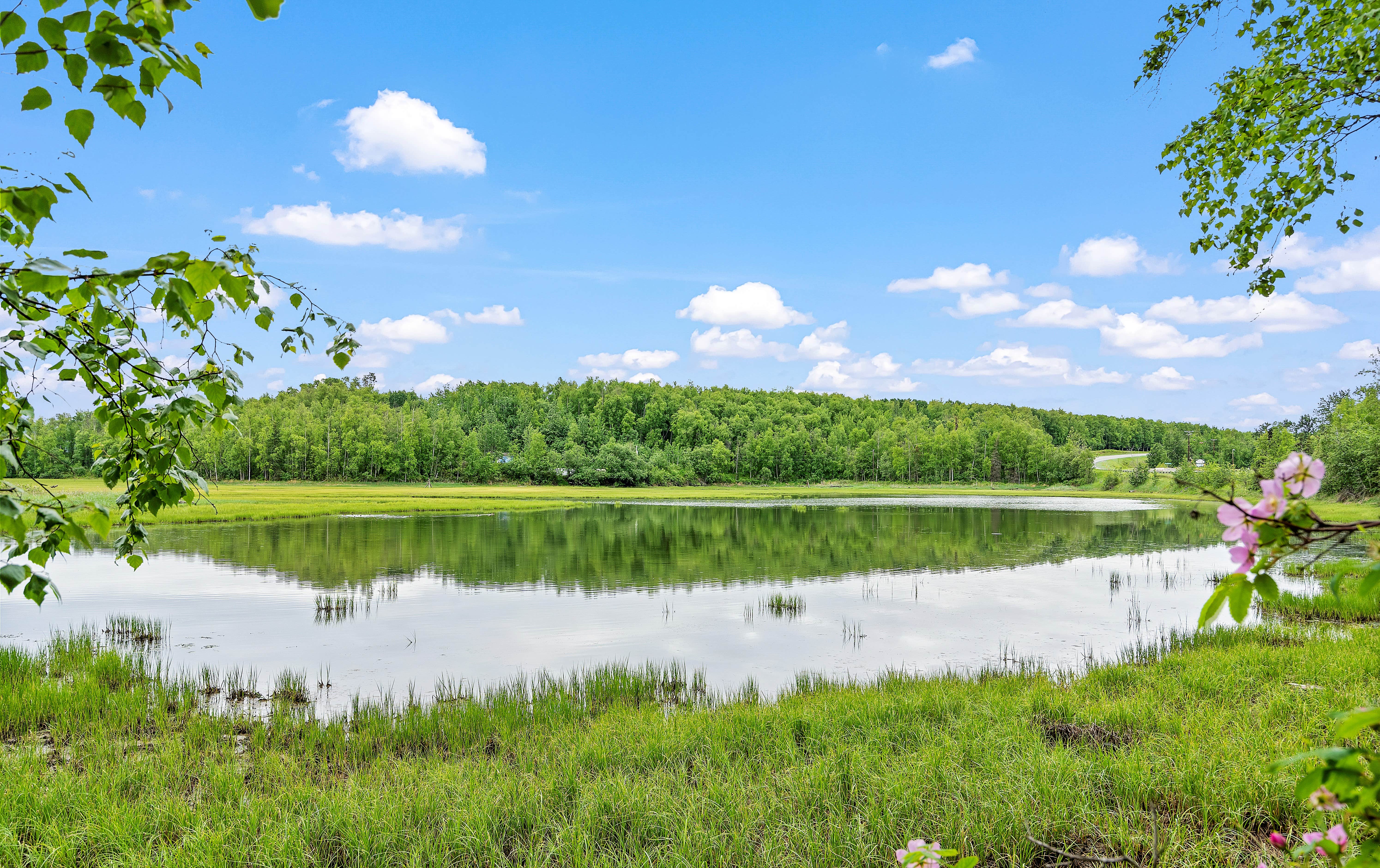 Camping near Lake Lucile Campground: Goose Bay Hideaway - 300' on Cook Inlet - RV Park and tent Campground, Big Lake, Alaska