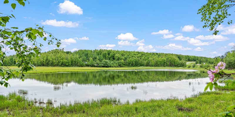 Camper submitted image from Goose Bay Hideaway - 300' on Cook Inlet - RV Park and tent Campground