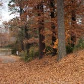 Review photo of Fort Eustis Recreation Area by N I., December 19, 2021