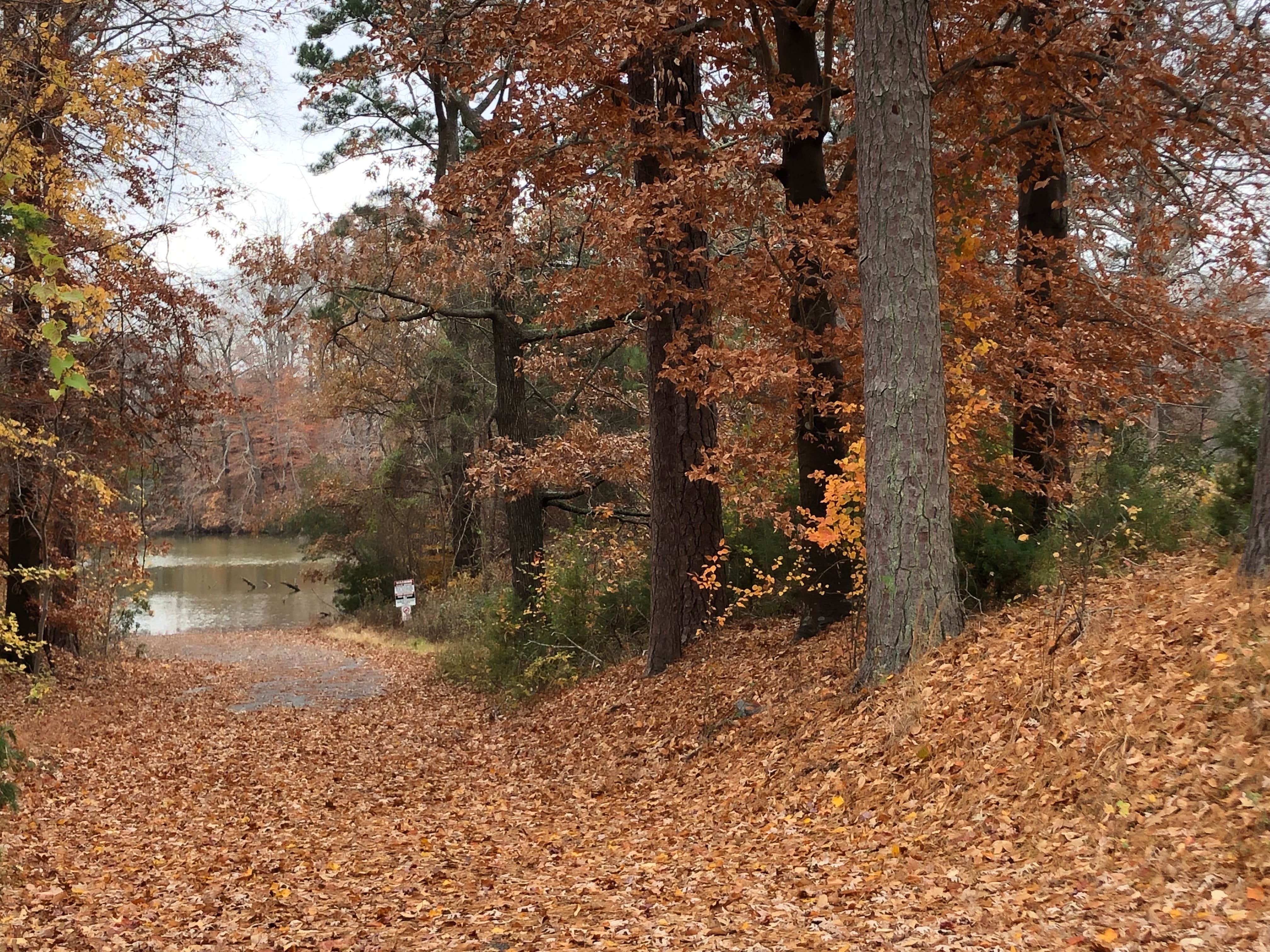 Camper submitted image from Fort Eustis Recreation Area - 3