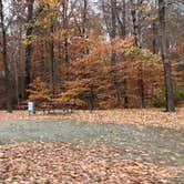 Review photo of Fort Eustis Recreation Area by N I., December 19, 2021