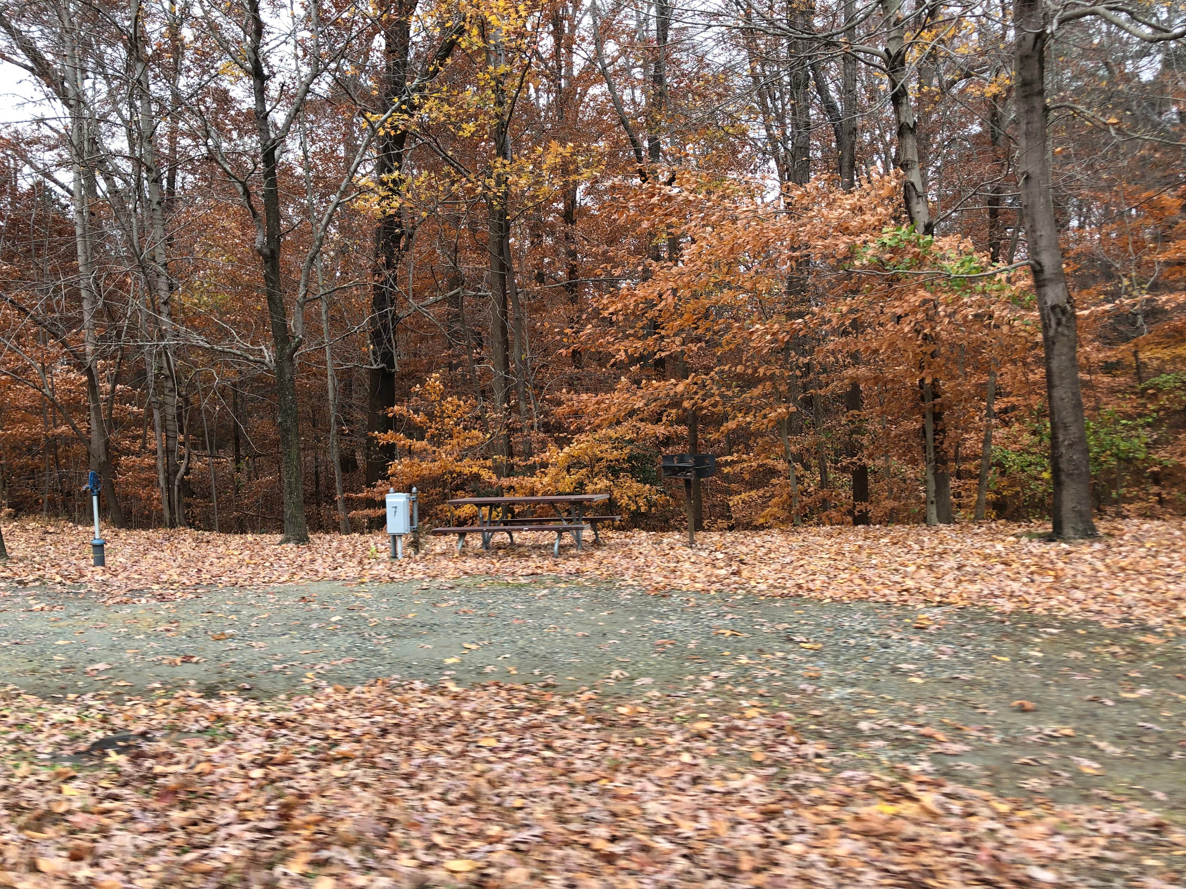 Camper submitted image from Fort Eustis Recreation Area - 2