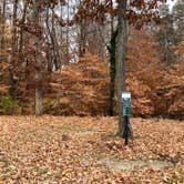 Review photo of Fort Eustis Recreation Area by N I., December 19, 2021