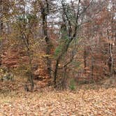 Review photo of Fort Eustis Recreation Area by N I., December 19, 2021