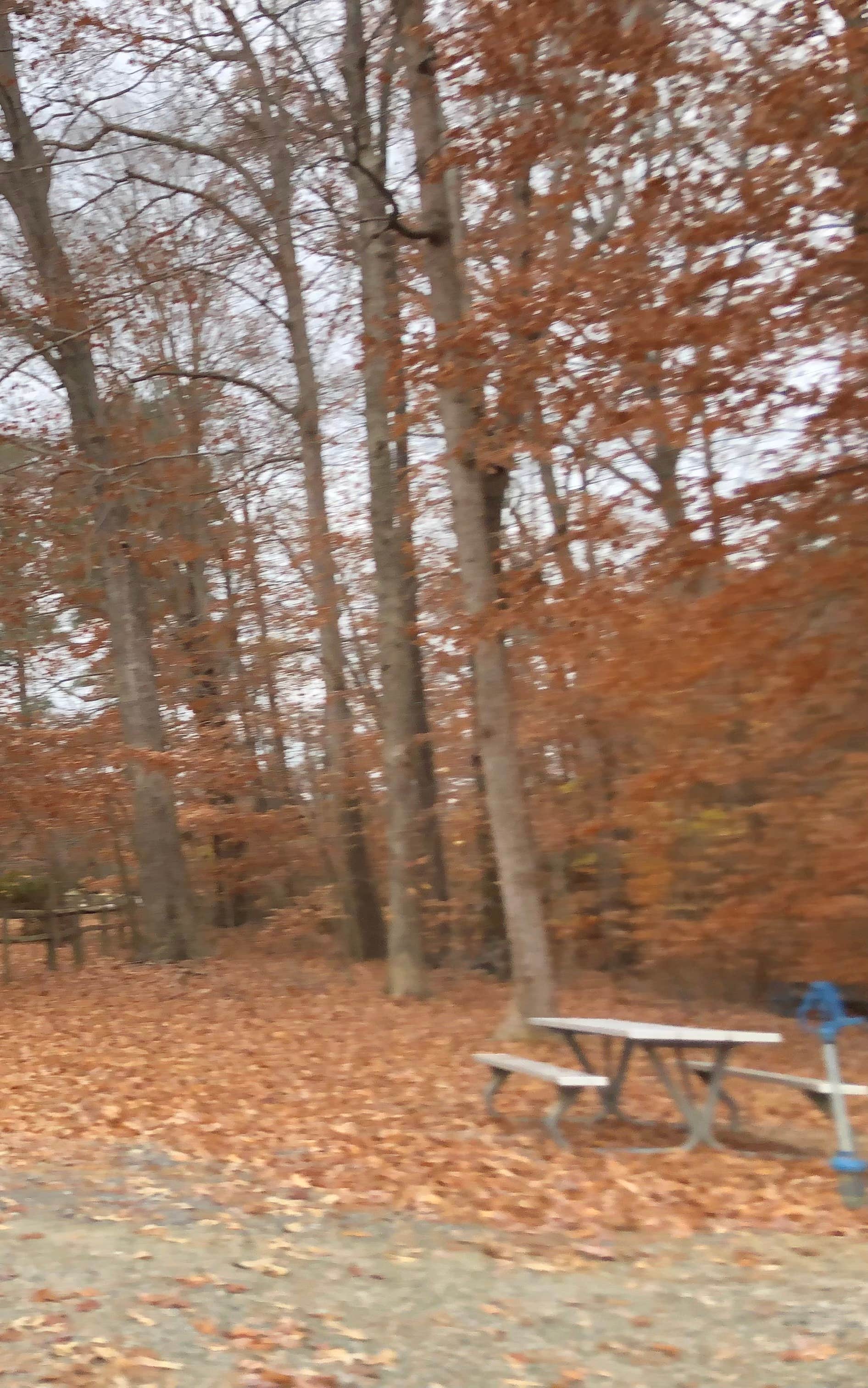 Camper-submitted photo at Fort Eustis Recreation Area near Smithfield, VA