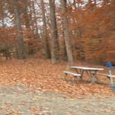 Review photo of Fort Eustis Recreation Area by N I., December 19, 2021