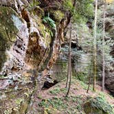 Review photo of Whittleton Campground — Natural Bridge State Resort Park by Callie F., December 19, 2021