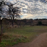 Review photo of Moss Lake Area — Enchanted Rock State Natural Area by Chris H., December 20, 2021
