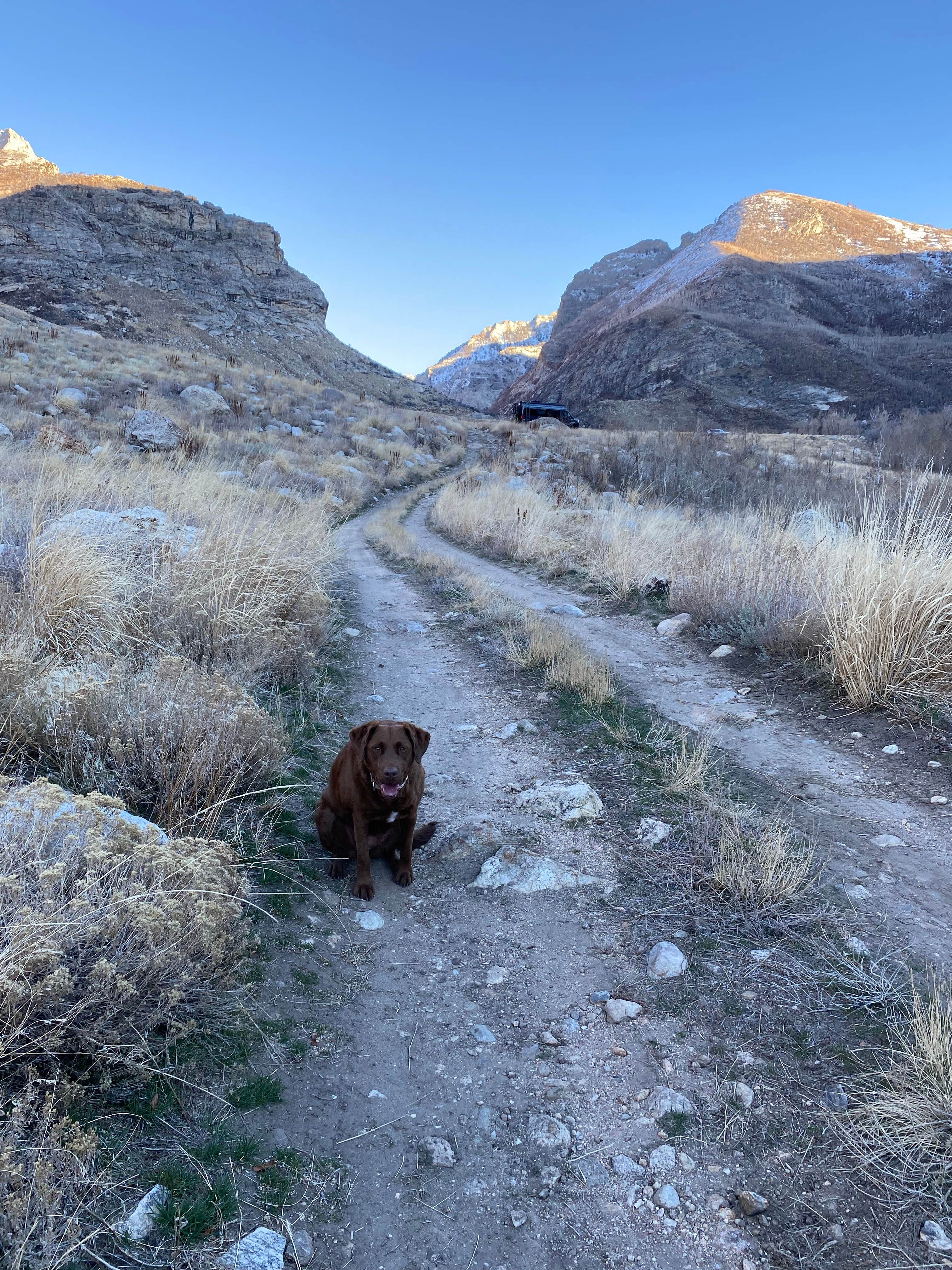 Cheryl M.'s photo of camping with pets at Camp Lamoille-Dispersed Camping near Ruby Valley, NV