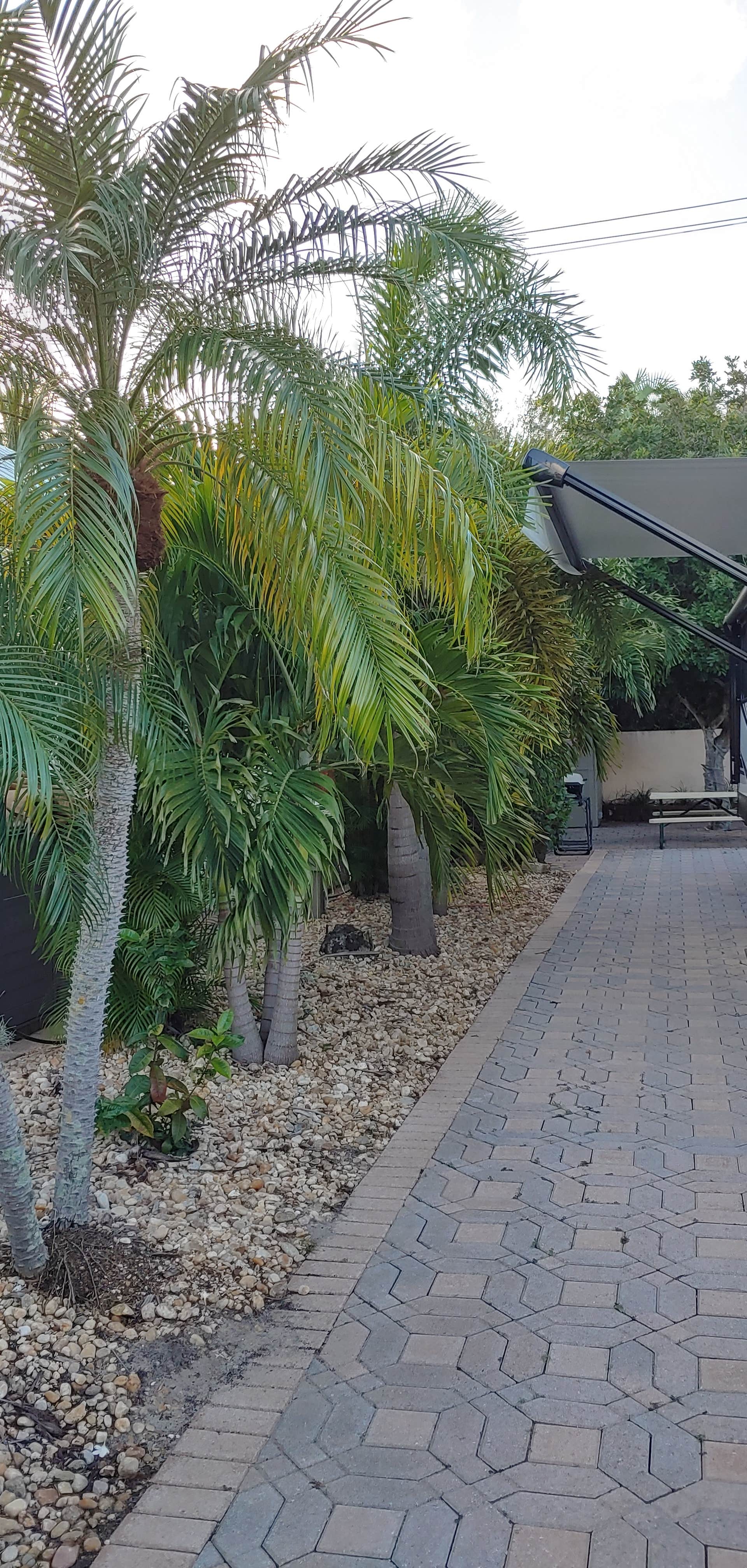 Camper submitted image from Juno Ocean Walk RV Resort - 2