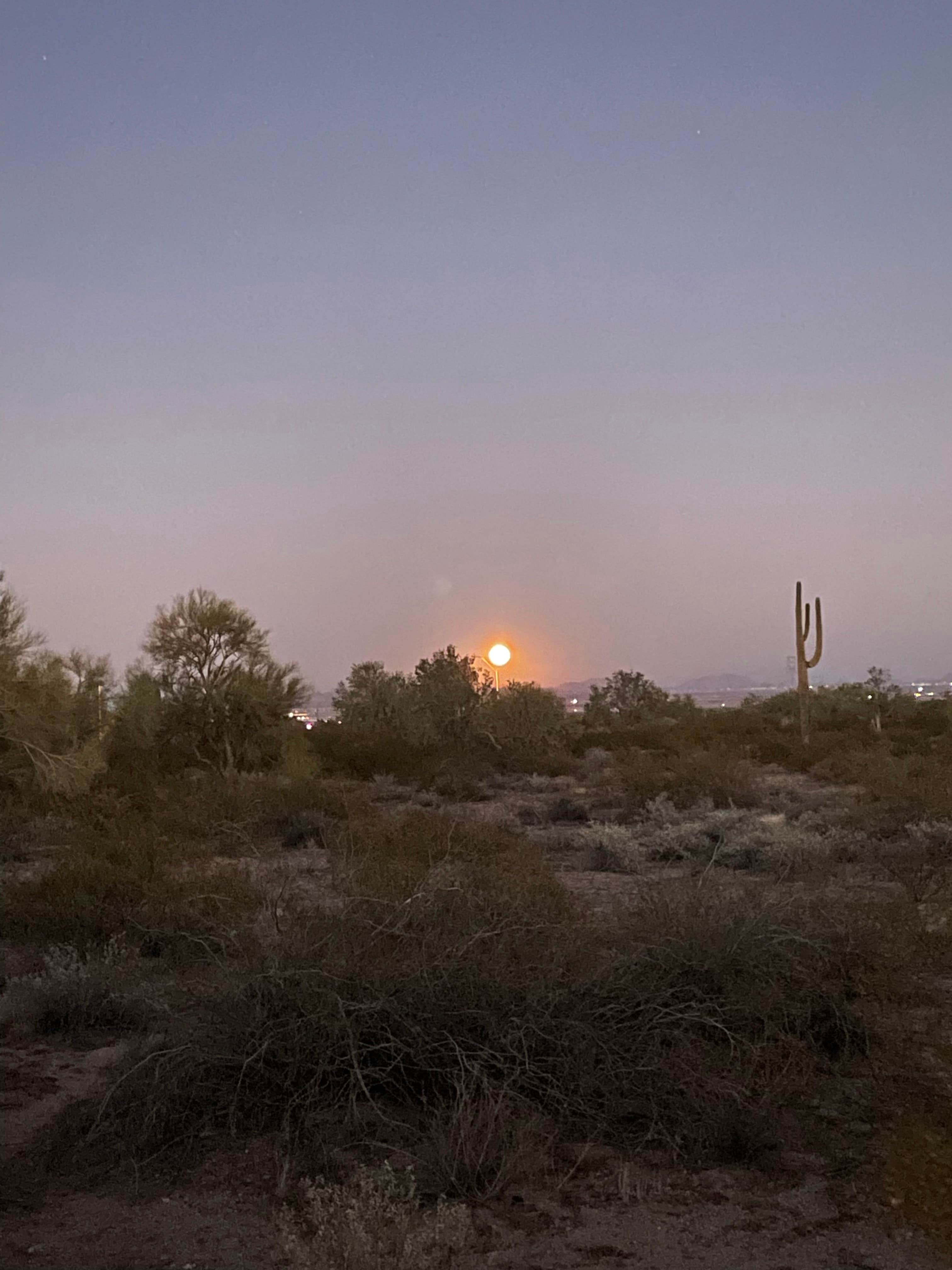 Camper submitted image from West Pinal County Park - 2