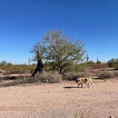 Review photo of West Pinal County Park by Christopher A., December 20, 2021