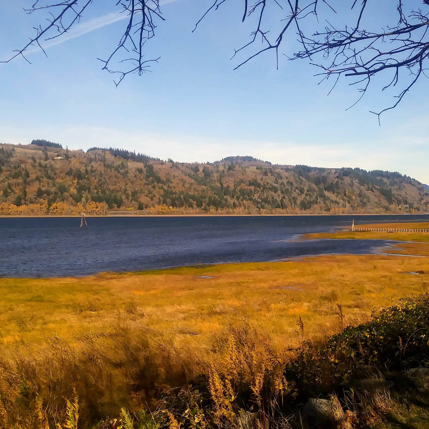 Rooster Rock State Park Camping The Dyrt