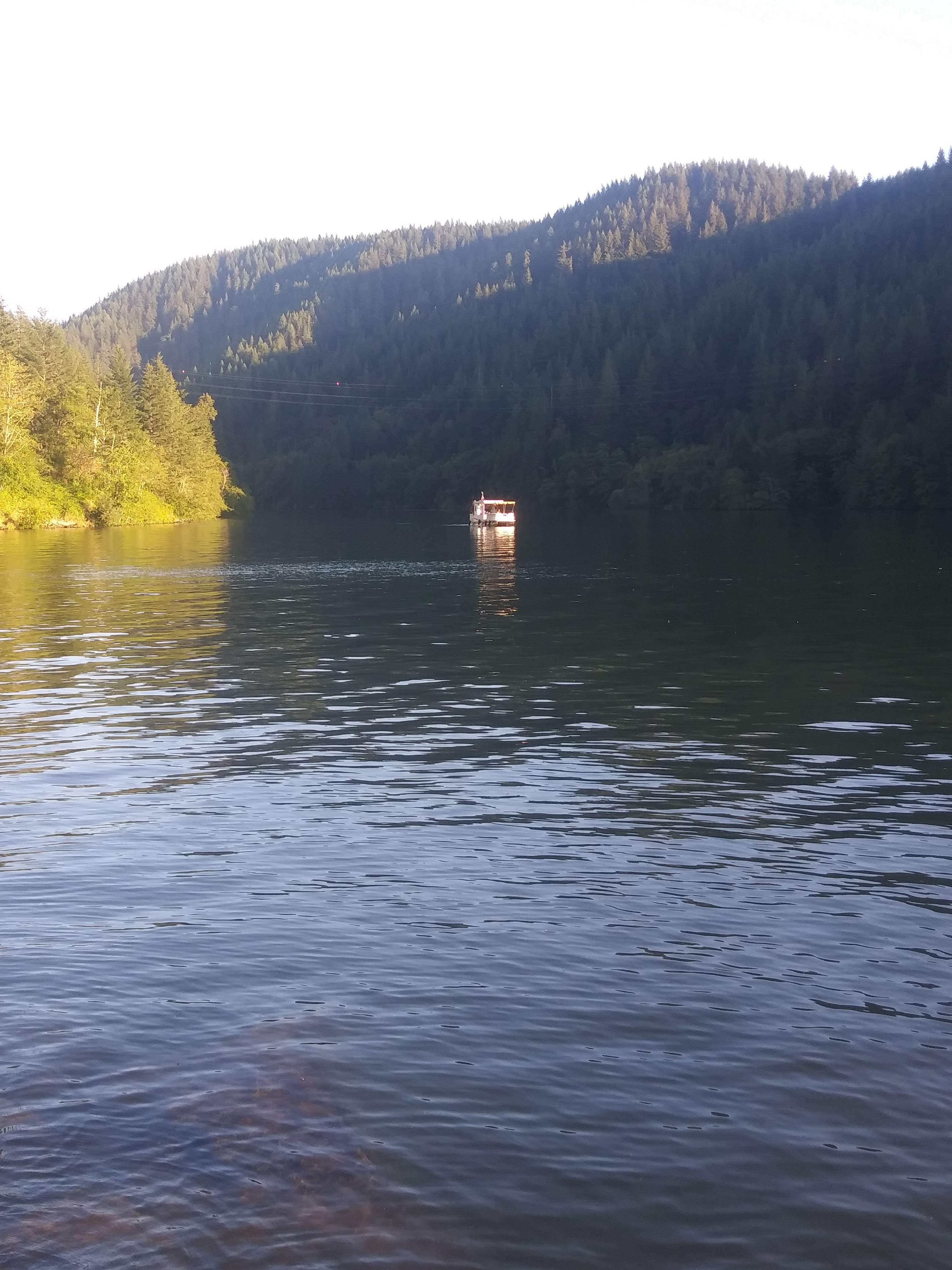 Camper submitted image from Clackamas River RV Park - 2