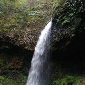 Review photo of Silver Falls State Park Campground by Pepper V., December 20, 2021