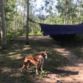 Review photo of Woods Lake Campground by Ana A., July 8, 2018