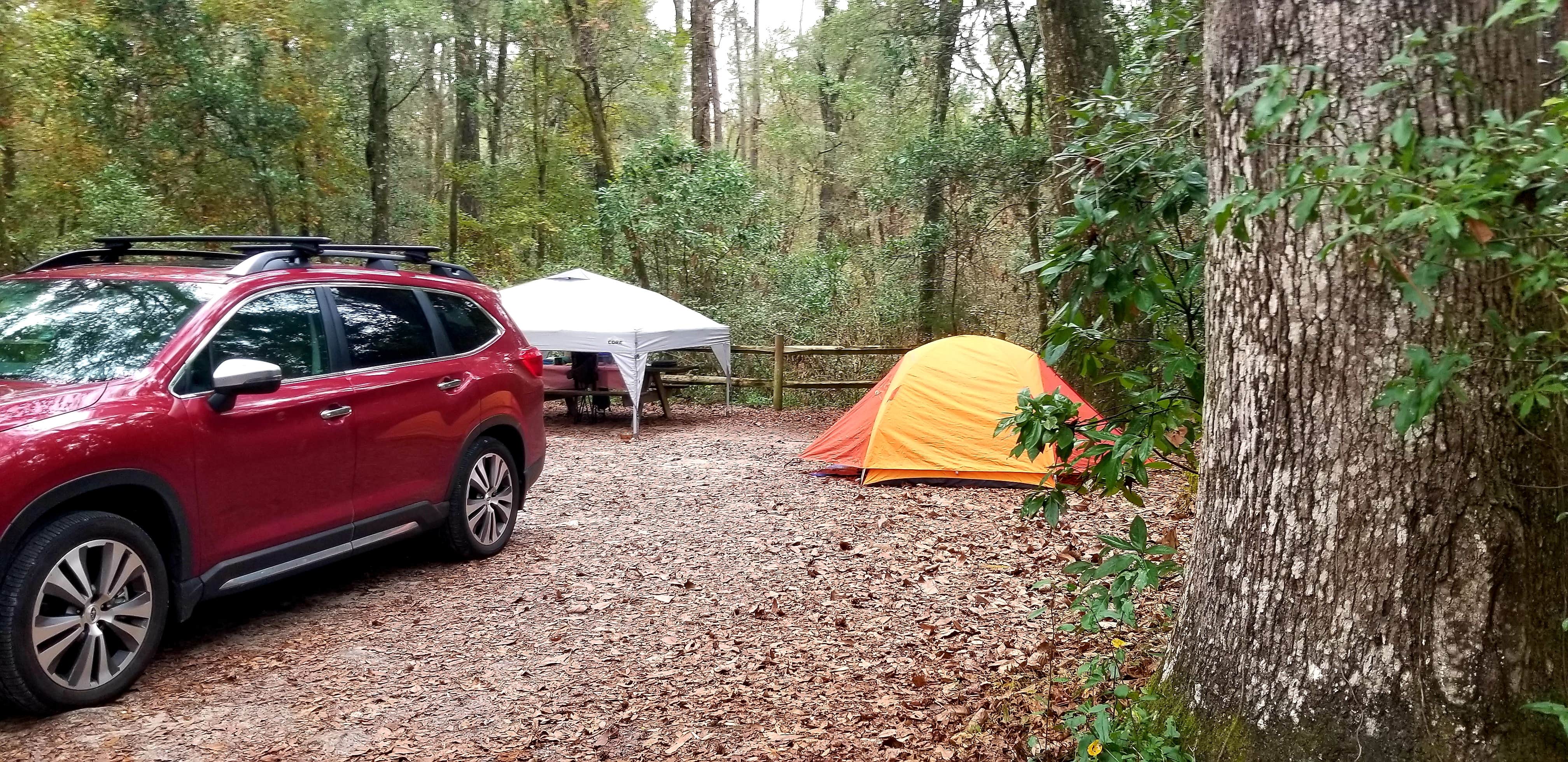 Camper-submitted photo at Magnolia Campground — O'Leno State Park near Fort White, FL