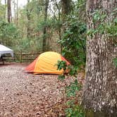 Review photo of Magnolia Campground — O'Leno State Park by Katrin M., December 20, 2021