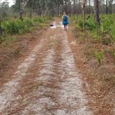 Review photo of O'Leno State Park Campground by Katrin M., December 20, 2021