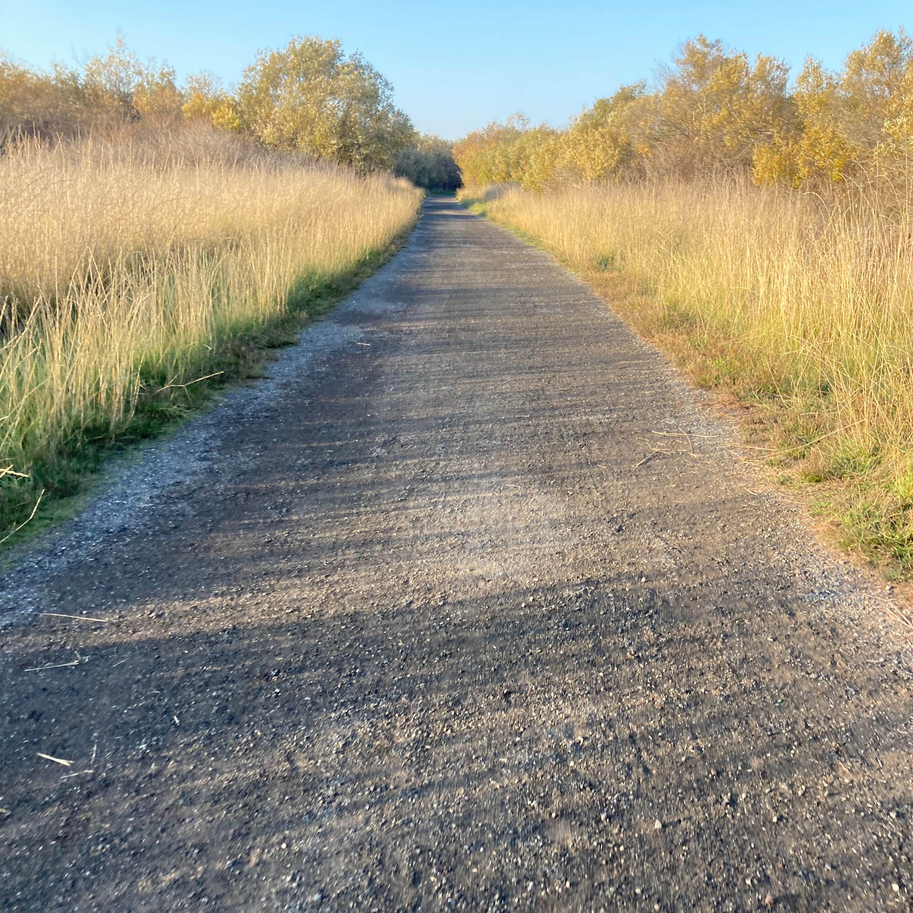 Dumbarton Quarry Campground on the Bay Camping The Dyrt