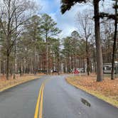 Review photo of Cane Creek State Park Campground by Jen K., December 11, 2021