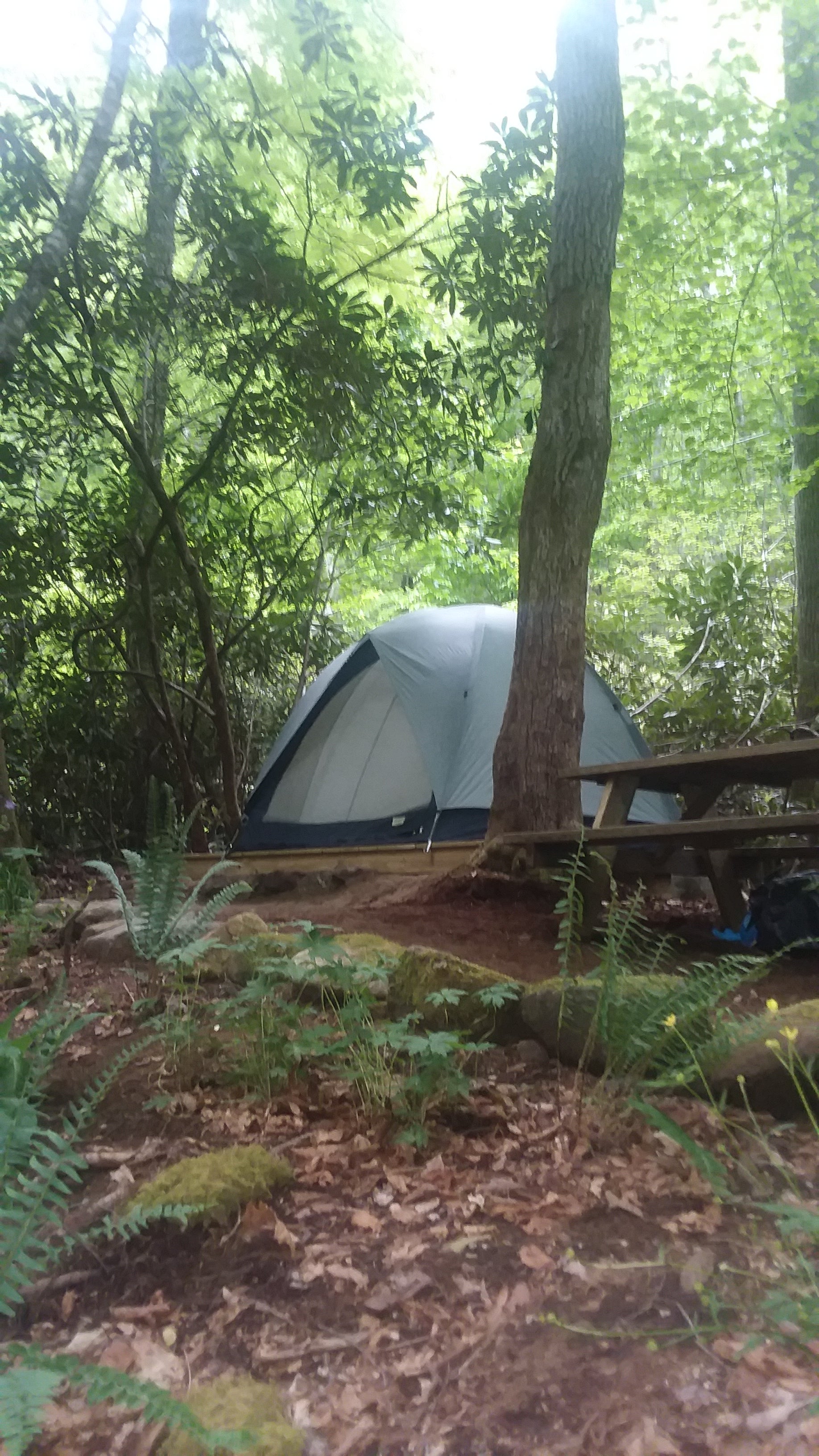 Camper submitted image from Mountain Creek Rest - 1