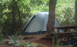 Brian P.'s photo of tent camping at Mountain Creek Rest near Etowah, TN