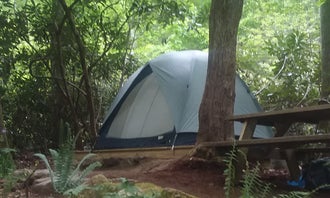 Camping near Swan Cabin: Mountain Creek Rest, Robbinsville, North Carolina