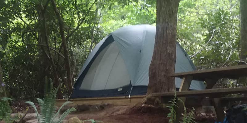 Camper submitted image from Mountain Creek Rest