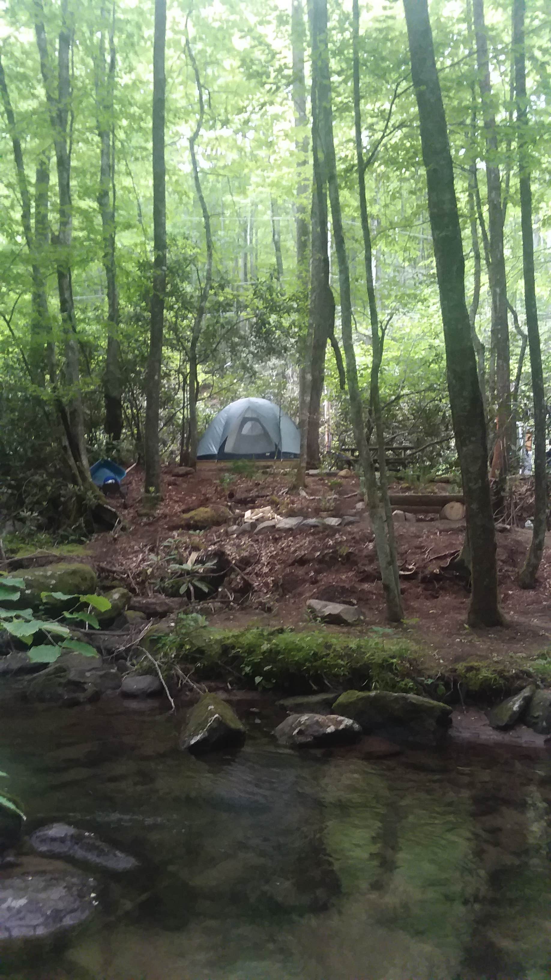 Camper-submitted photo at Mountain Creek Rest near Murphy, NC