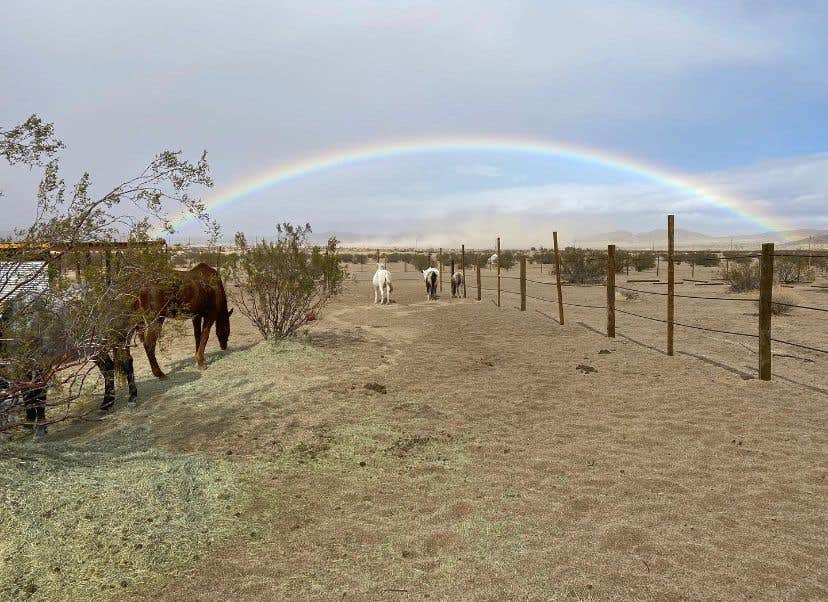 Camper-submitted photo at Cascade Trails Mustang Sanctuary near Yucca Valley, CA