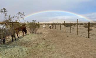 Tanya B.'s photo of camping with a horse at Cascade Trails Mustang Sanctuary near Palm Springs, CA