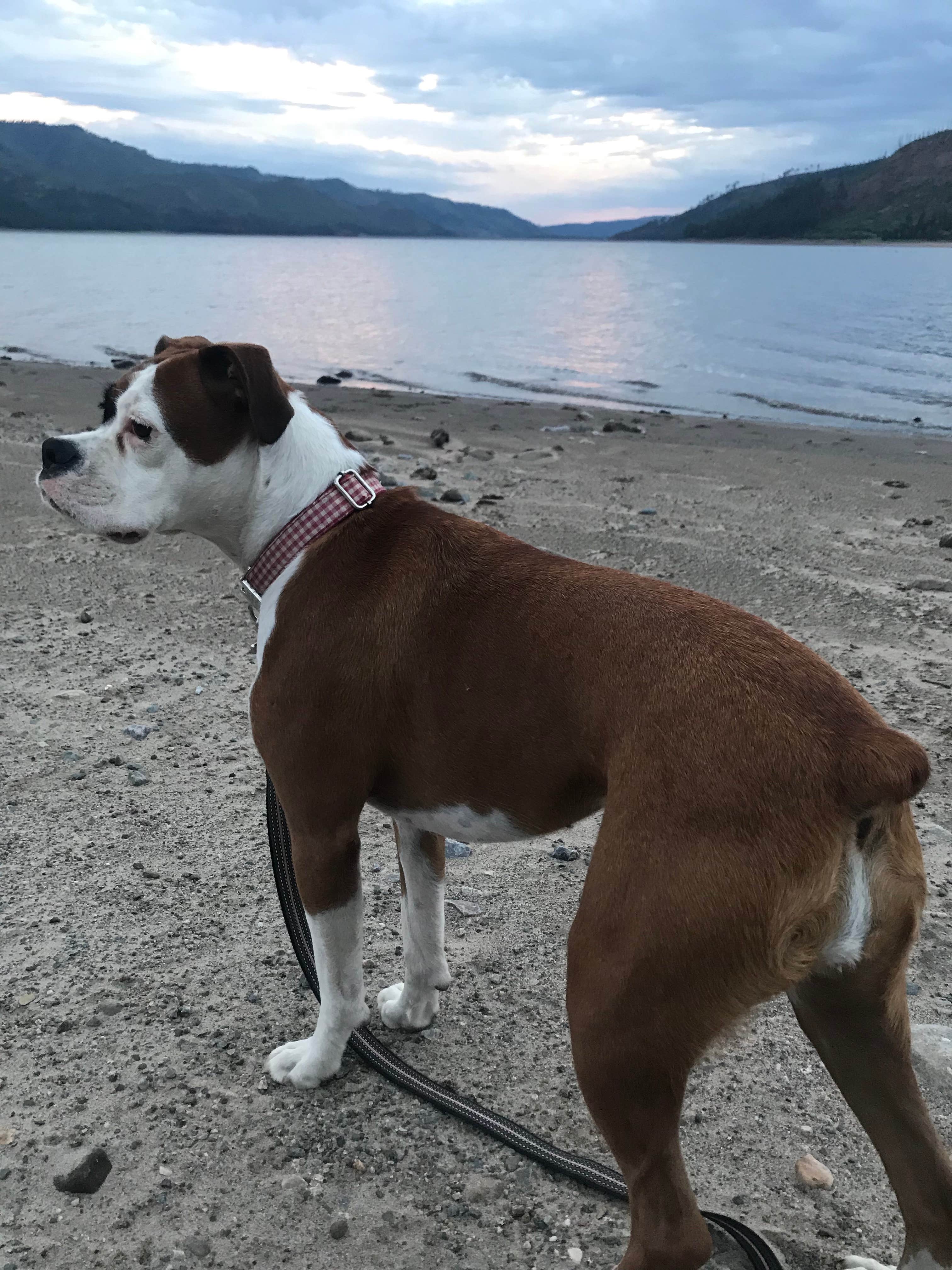 Camper-submitted photo at Middle Mountain near Bayfield, CO
