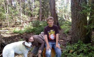 Penny H.'s photo of camping with pets at Meadows Group Campground near Buffalo Creek, CO
