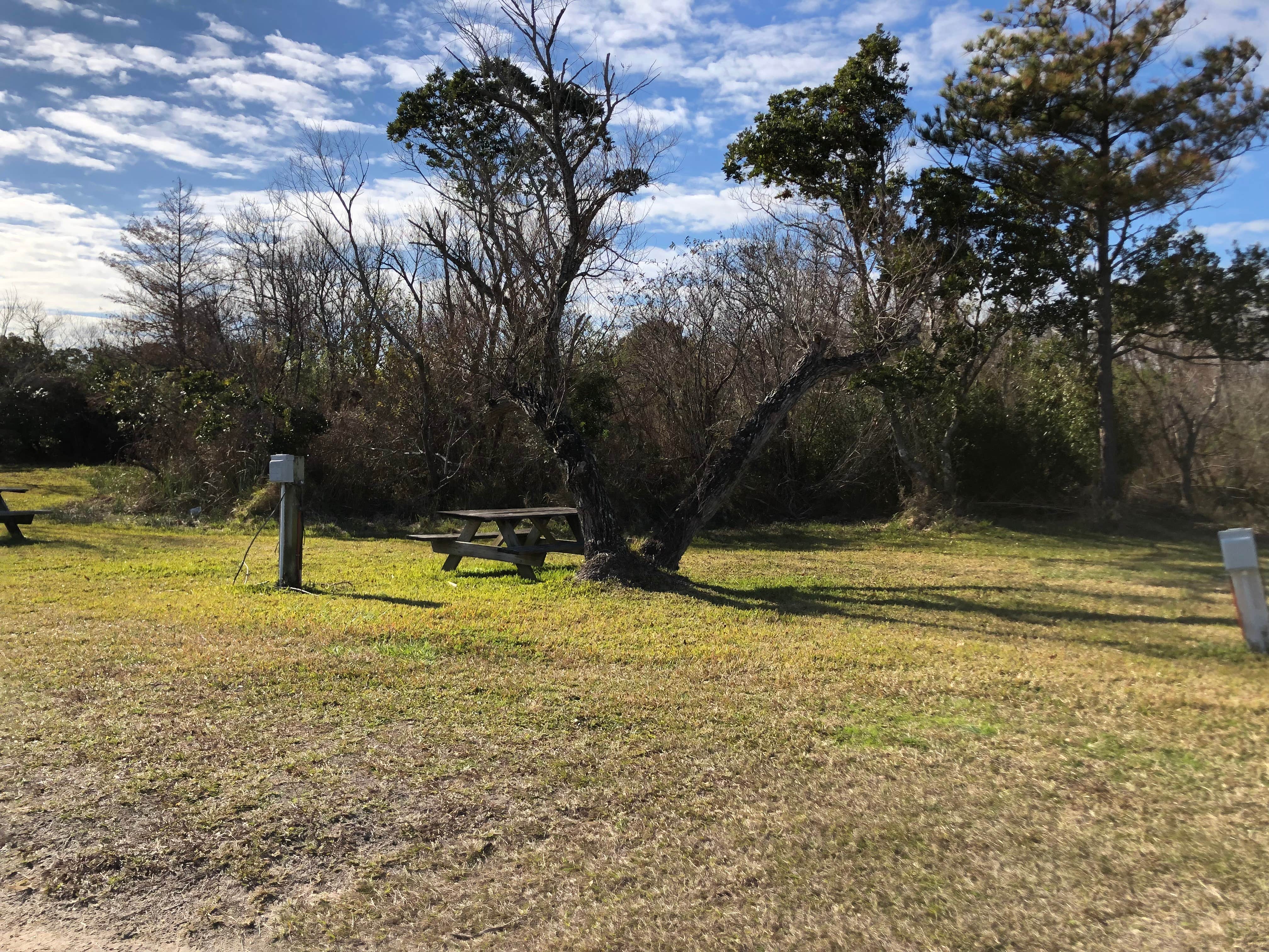 Camper submitted image from Island Hide-A-Way Campground - 2