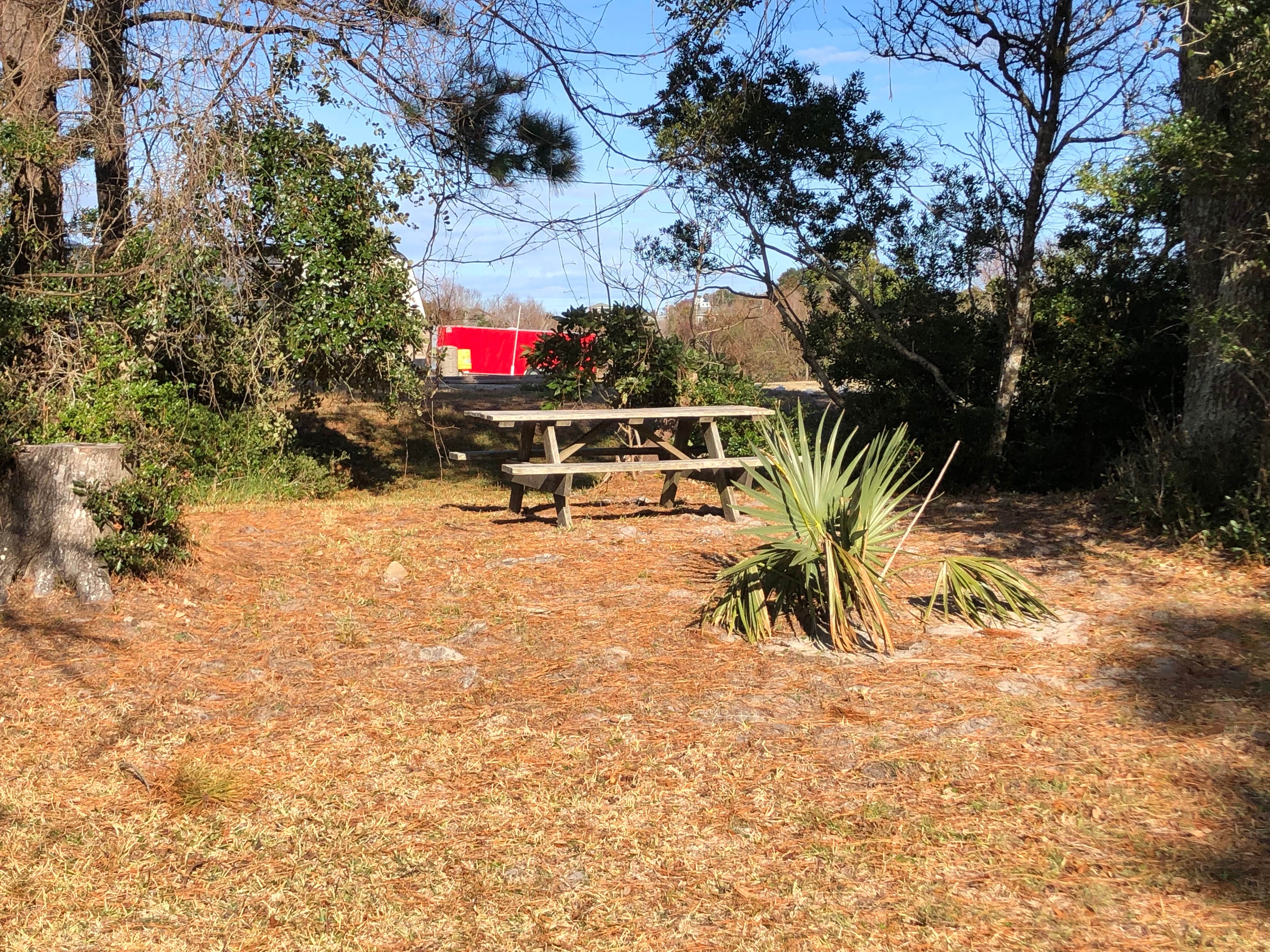 Camper-submitted photo at Island Hide-A-Way Campground near Frisco, NC