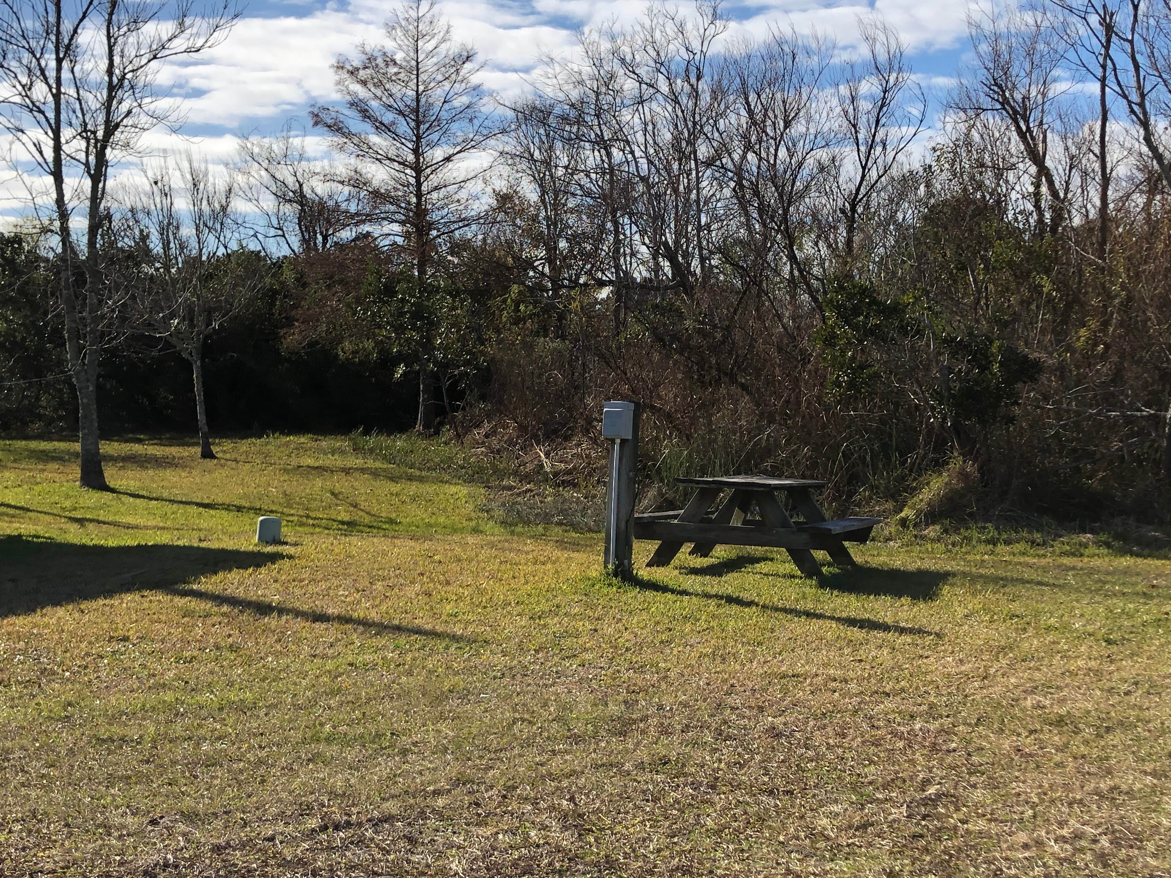 Camper-submitted photo at Island Hide-A-Way Campground near Frisco, NC