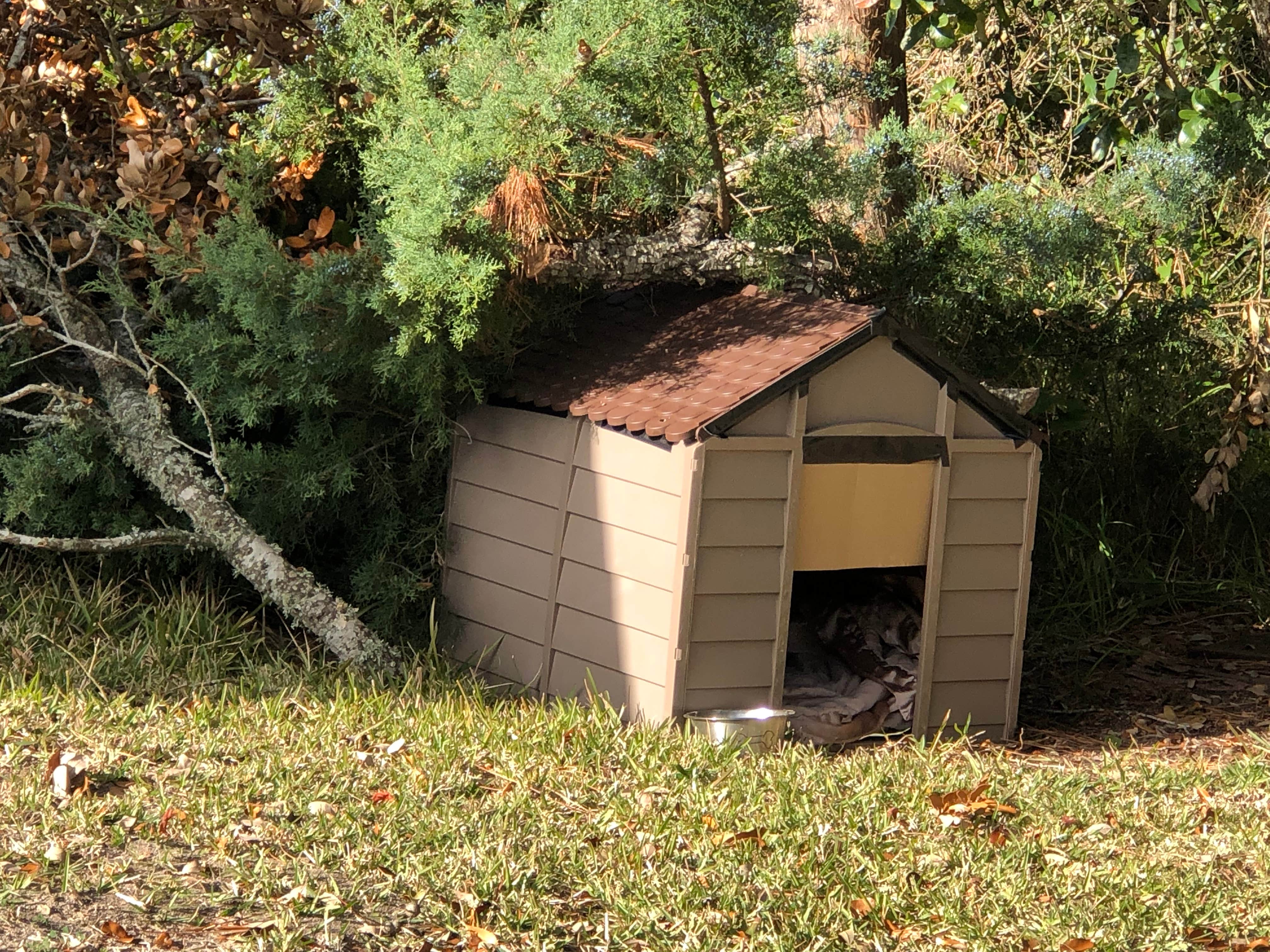 N I.'s photo of camping with pets at Sands of Time Campground near Cape Hatteras National Seashore