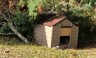 N I.'s photo of camping with pets at Sands of Time Campground near Nags Head, NC