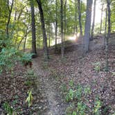 Review photo of Big Bend Trailhead Primitive Camping (Summit Metro Parks) by Chase N., December 22, 2021