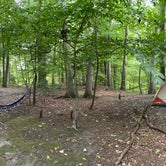 Review photo of Big Bend Trailhead Primitive Camping (Summit Metro Parks) by Chase N., December 22, 2021