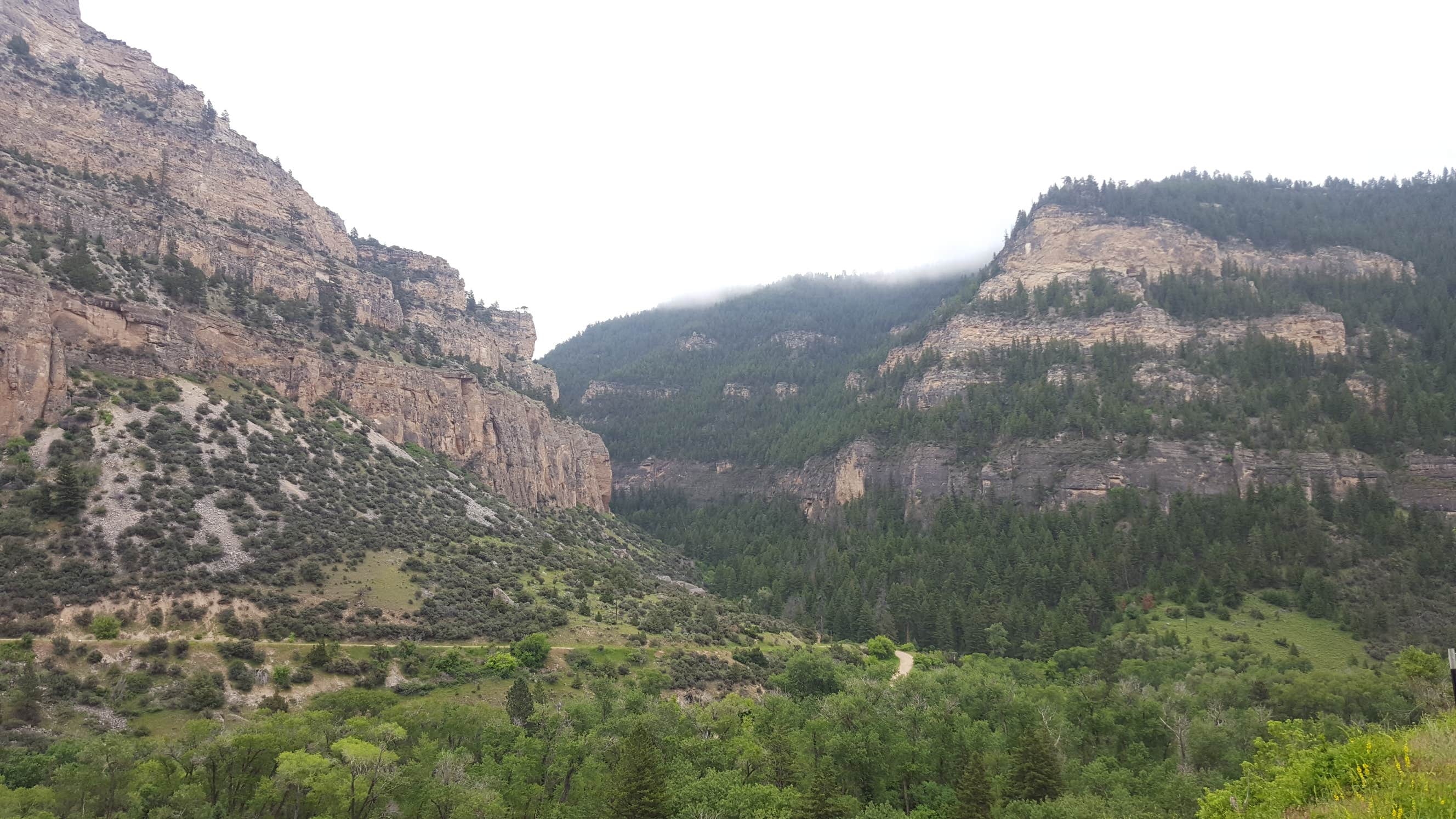 Camper-submitted photo at Leigh Creek Campground near Ten Sleep, WY
