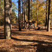 Review photo of Kisatchie Bayou NF Campground - Temporarily Closed by N I., December 22, 2021